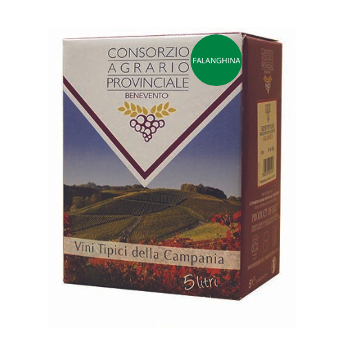 Bag in Box Falanghina 13%