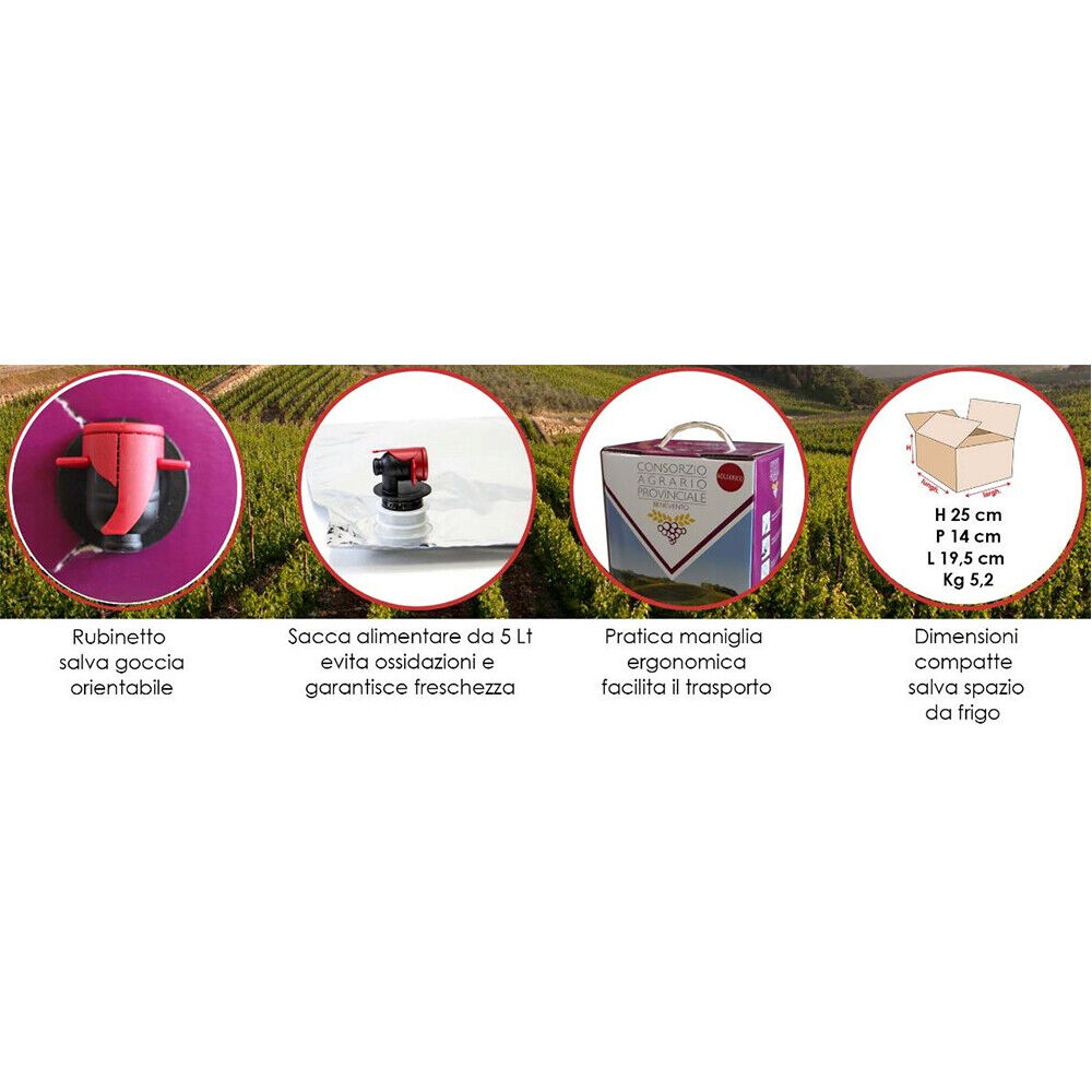 Bag in Box Falanghina 13%